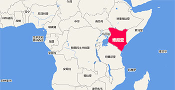 非洲物流專線：中國(guó)出口肯尼亞貨物運(yùn)輸方案(出口肯尼亞運(yùn)輸注意事項(xiàng))